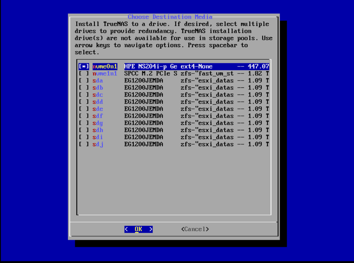 nvme0n1 selected with asterisk — ready to install