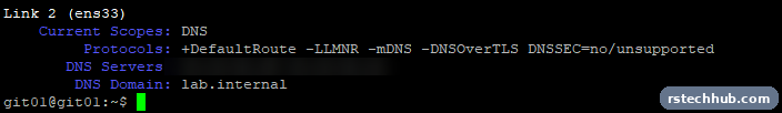 resolvectl output showing the DNS servers and search domain